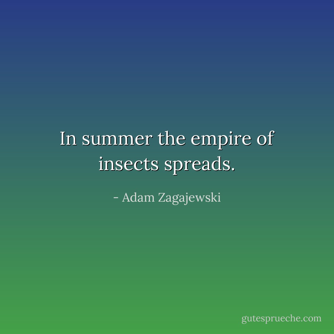 In summer the empire of insects spreads. - Adam Zagajewski
