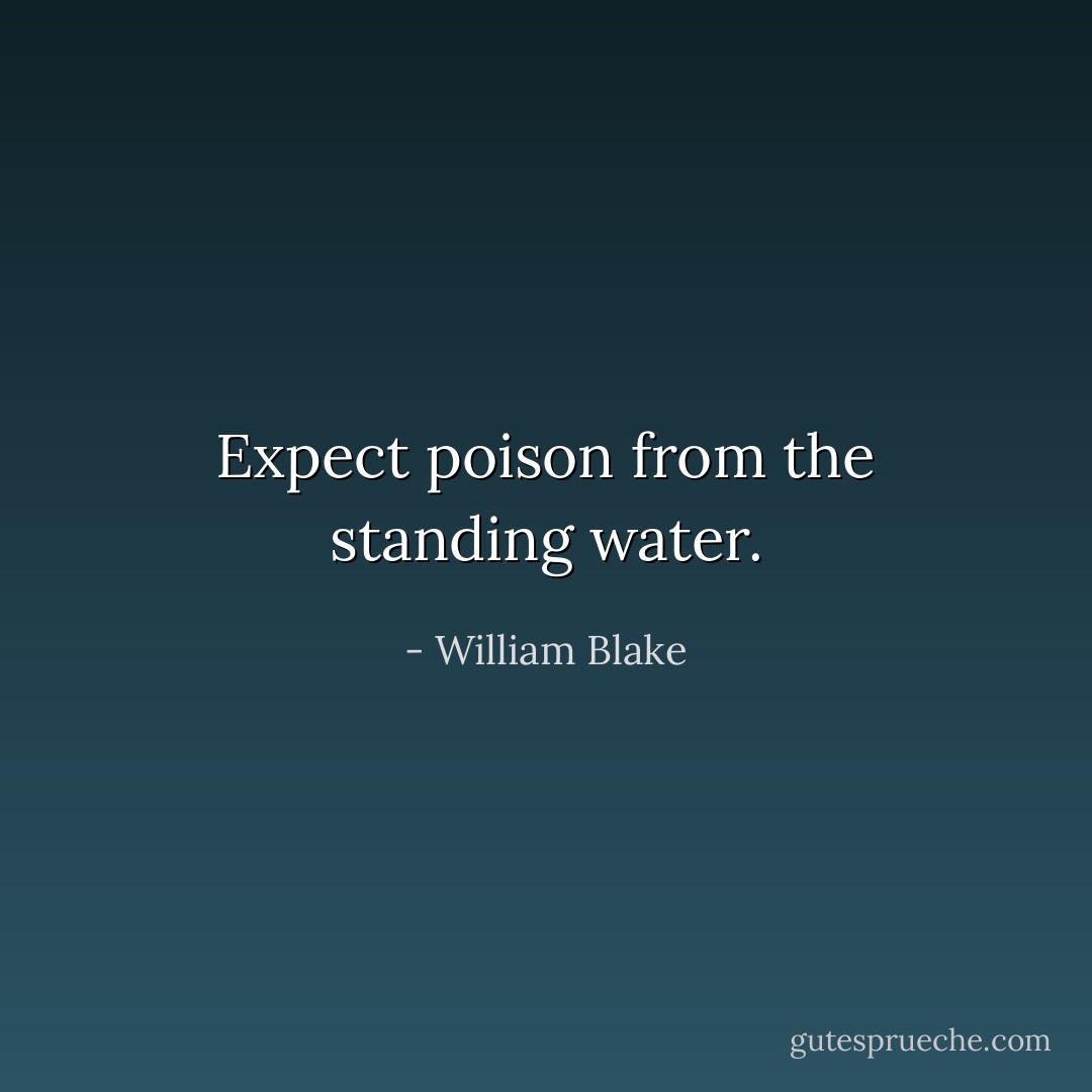 Expect poison from the standing water. - William Blake