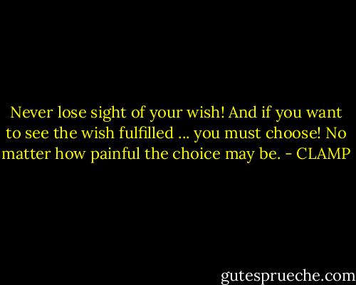 Never lose sight of your wish! And if you want to see the wish fulfilled ... you must choose! No matter how painful the choice may be. - CLAMP