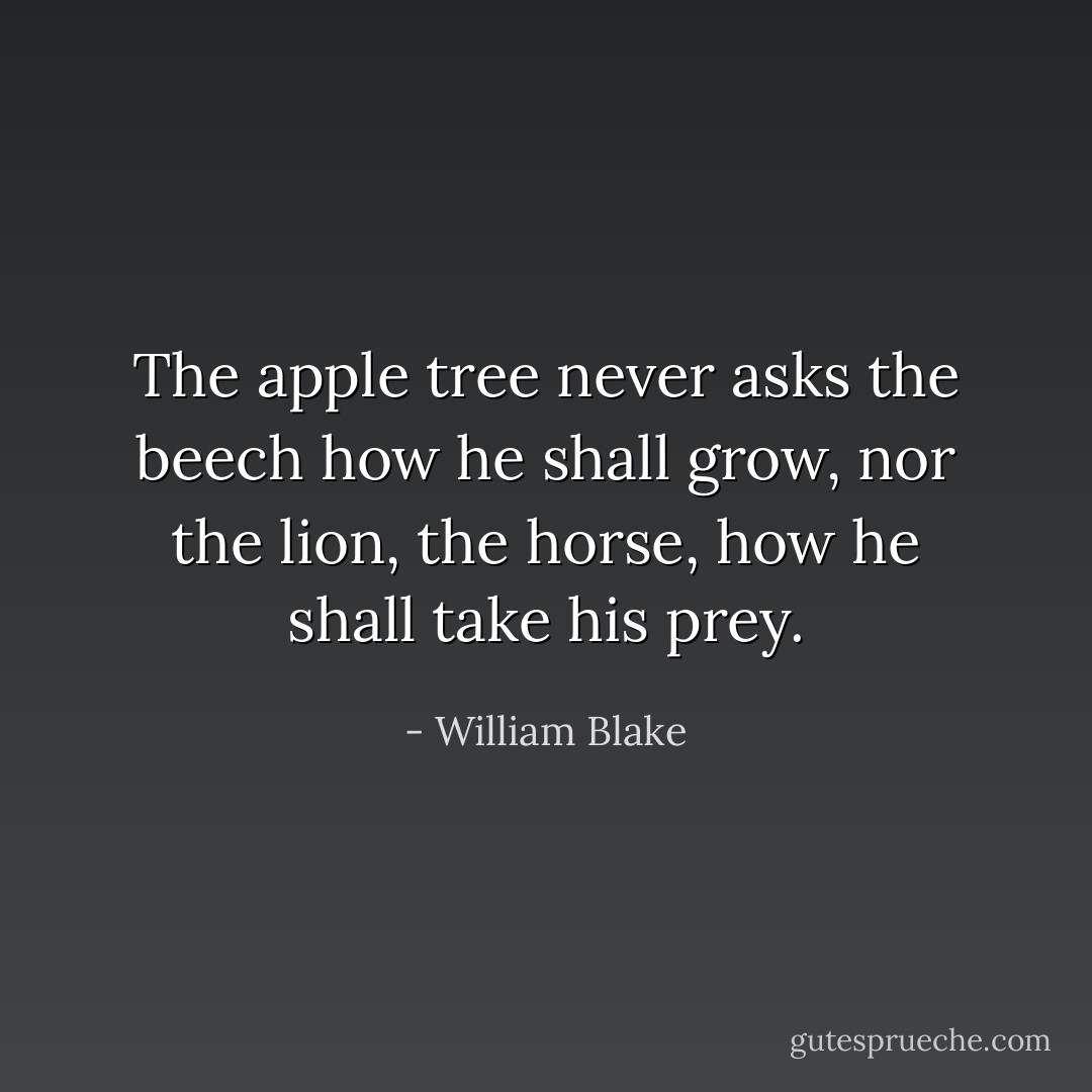 The apple tree never asks the beech how he shall grow, nor the lion, the horse, how he shall take his prey. - William Blake