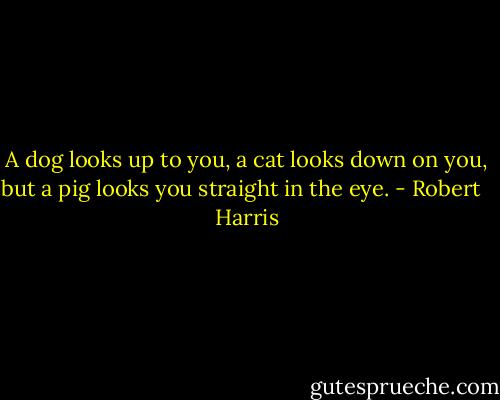 A dog looks up to you, a cat looks down on you, but a pig looks you straight in the eye. - Robert   Harris