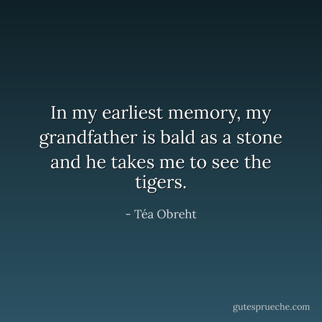 In my earliest memory, my grandfather is bald as a stone and he takes me to see the tigers. - Téa Obreht