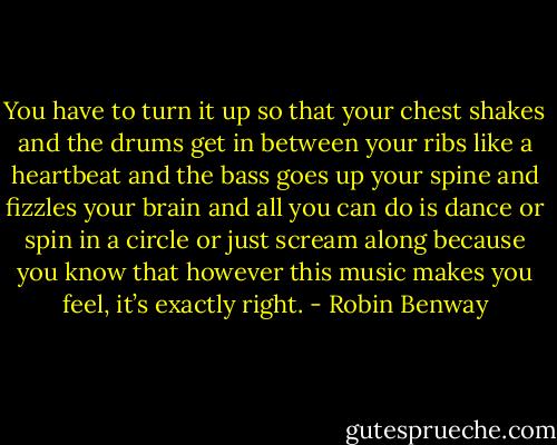 You have to turn it up so that your chest shakes and the drums get in between your ribs like a heartbeat and the bass goes up your spine and fizzles your brain and all you can do is dance or spin in a circle or just scream along because you know that however this music makes you feel, it’s exactly right. - Robin Benway