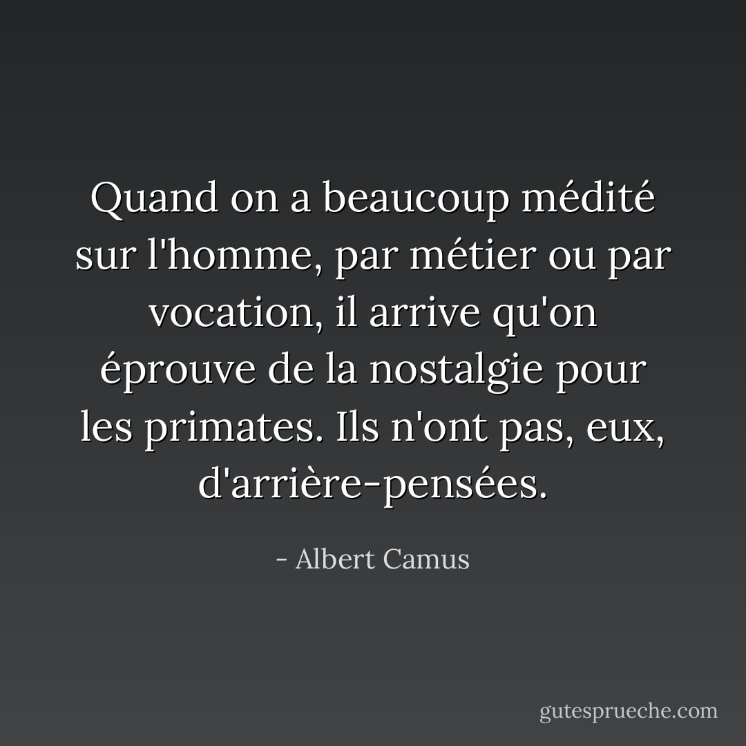 Quand on a beaucoup médité sur l'homme, par métier ou par vocation, il arrive qu'on éprouve de la nostalgie pour les primates. Ils n'ont pas, eux, d'arrière-pensées. - Albert Camus
