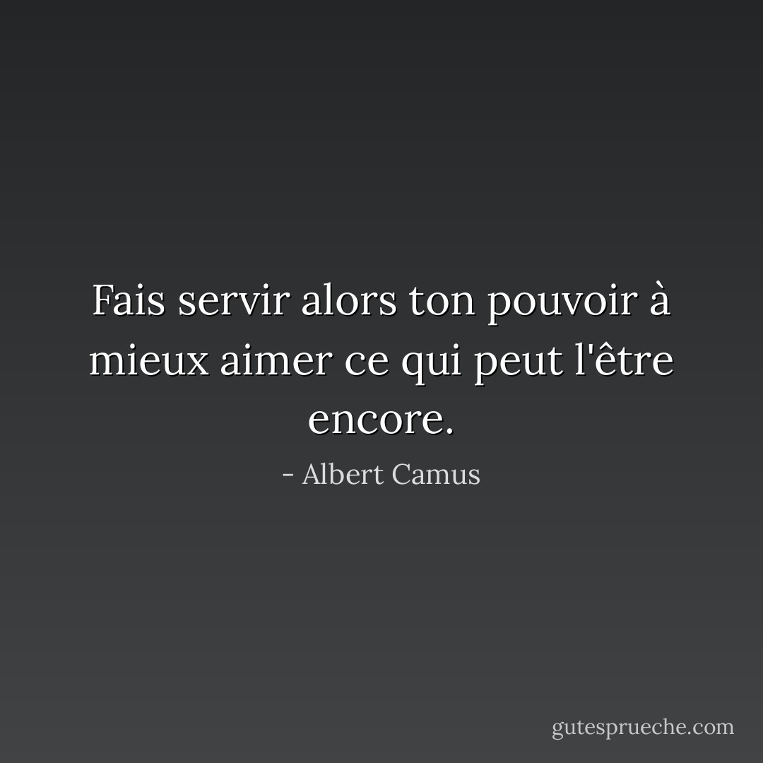 Fais servir alors ton pouvoir à mieux aimer ce qui peut l'être encore. - Albert Camus