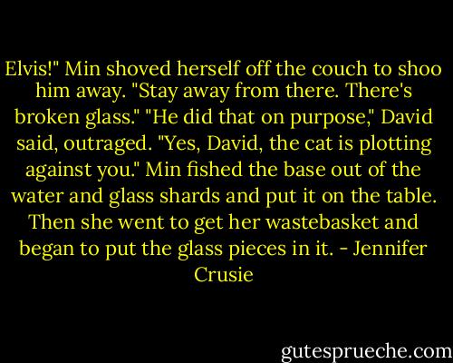 Elvis!" Min shoved herself off the couch to shoo him away. "Stay away from there. There's broken glass."<br />"He did that on purpose," David said, outraged.<br />"Yes, David, the cat is plotting against you." Min fished the base out of the water and glass shards and put it on the table. Then she went to get her wastebasket and began to put the glass pieces in it. - Jennifer Crusie