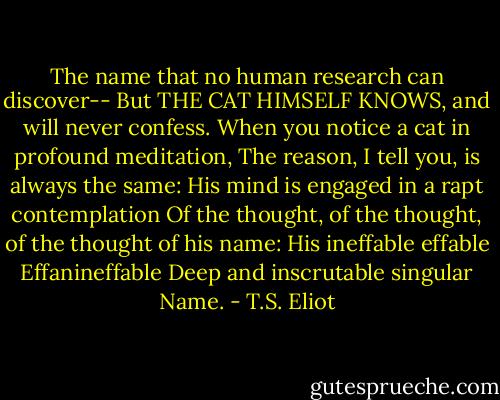 The name that no human research can discover--<br />But THE CAT HIMSELF KNOWS, and will never confess.<br />When you notice a cat in profound meditation,<br />The reason, I tell you, is always the same:<br />His mind is engaged in a rapt contemplation<br />Of the thought, of the thought, of the thought of his name:<br />His ineffable effable<br />Effanineffable<br />Deep and inscrutable singular Name. - T.S. Eliot