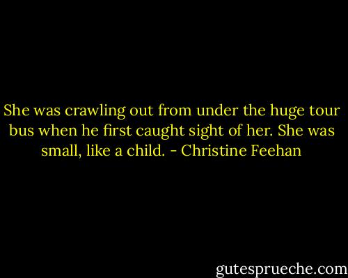 She was crawling out from under the huge tour bus when he first caught sight of her. She was small, like a child. - Christine Feehan