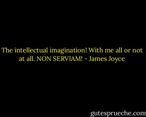 The intellectual imagination! With me all or not at all. NON SERVIAM! - James Joyce