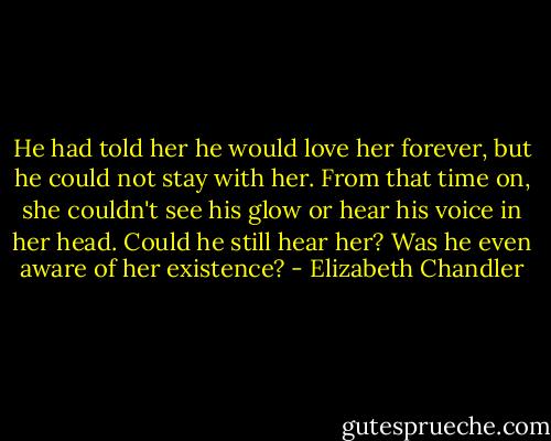 He had told her he would love her forever, but he could not stay with her. From that time on, she couldn't see his glow or hear his voice in her head. Could he still hear her? Was he even aware of her existence? - Elizabeth Chandler
