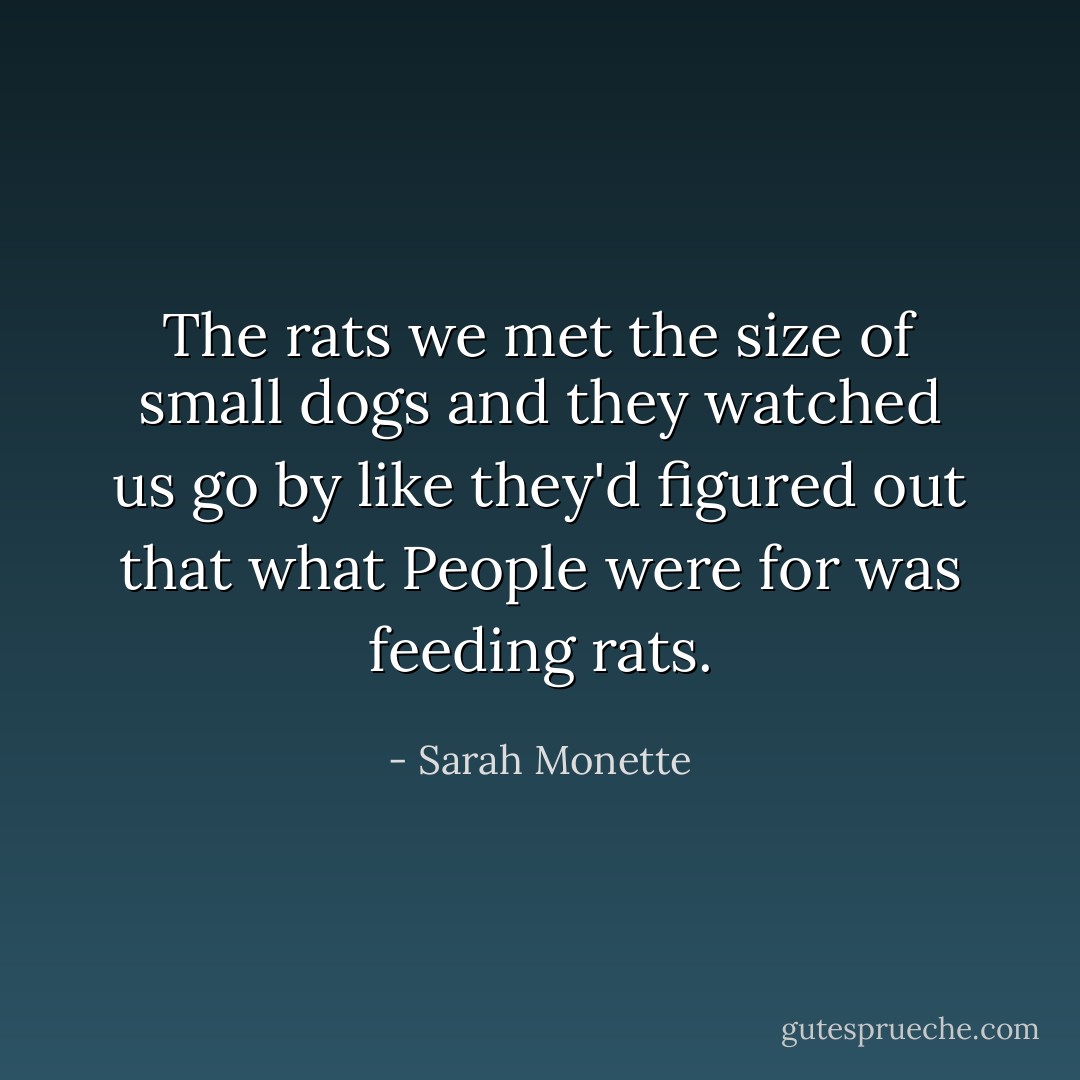 The rats we met the size of small dogs and they watched us go by like they'd figured out that what People were for was feeding rats. - Sarah Monette