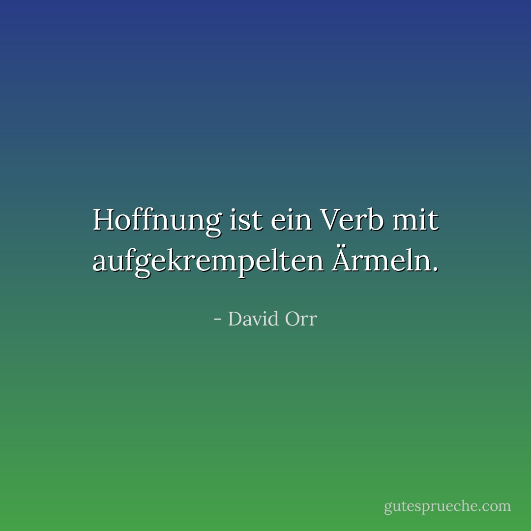 Hoffnung ist ein Verb mit aufgekrempelten Ärmeln. - David Orr<