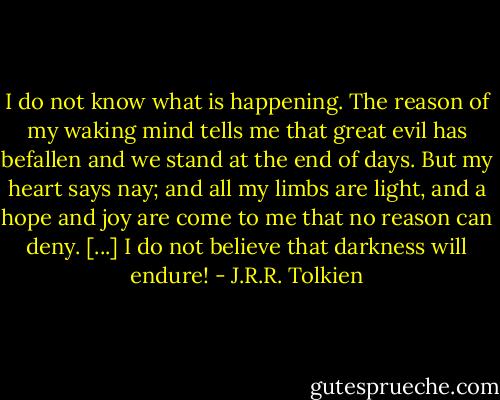 I do not know what is happening. The reason of my waking mind tells me that great evil has befallen and we stand at the end of days. But my heart says nay; and all my limbs are light, and a hope and joy are come to me that no reason can deny. [...] I do not believe that darkness will endure! - J.R.R. Tolkien