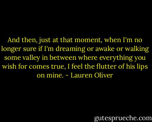 And then, just at that moment, when I'm no longer sure if I'm dreaming or awake or walking some valley in between where everything you wish for comes true, I feel the flutter of his lips on mine. - Lauren Oliver