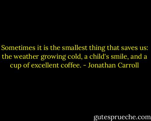 Sometimes it is the smallest thing that saves us: the weather growing cold, a child's smile, and a cup of excellent coffee. - Jonathan Carroll