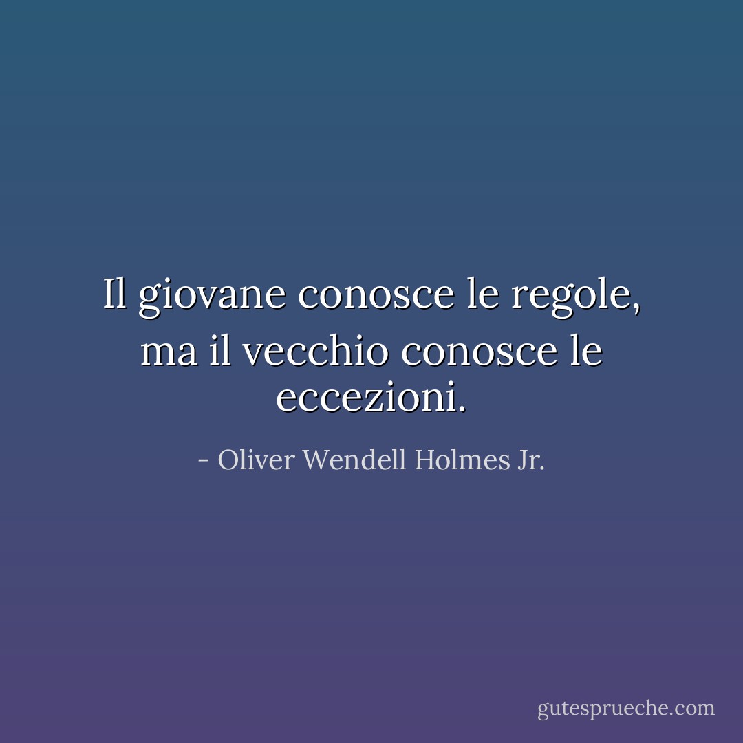 Il giovane conosce le regole, ma il vecchio conosce le eccezioni. - Oliver Wendell Holmes Jr.
