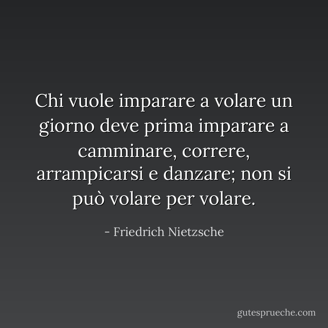 Chi vuole imparare a volare un giorno deve prima imparare a camminare, correre, arrampicarsi e danzare; non si può volare per volare. - Friedrich Nietzsche