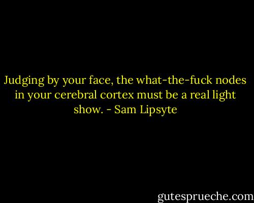 Judging by your face, the what-the-fuck nodes in your cerebral cortex must be a real light show. - Sam Lipsyte