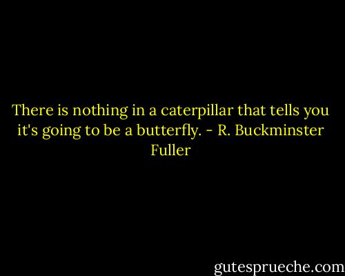 There is nothing in a caterpillar that tells you it's going to be a butterfly. - R. Buckminster Fuller