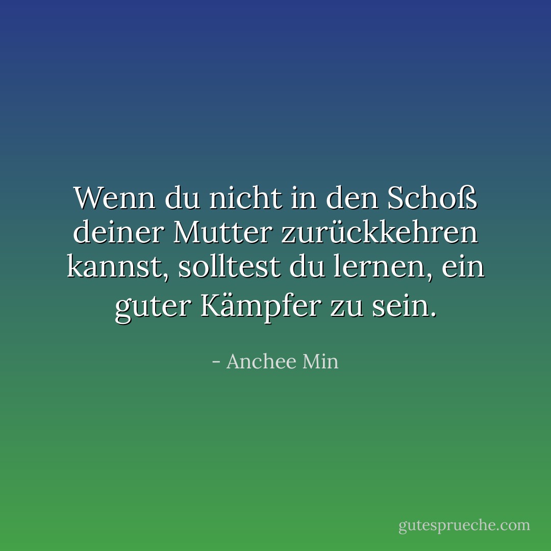 Wenn du nicht in den Schoß deiner Mutter zurückkehren kannst, solltest du lernen, ein guter Kämpfer zu sein. - Anchee Min<