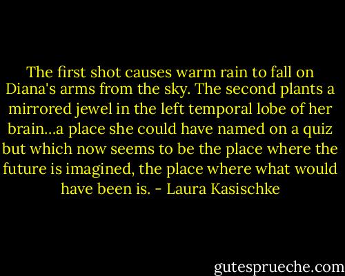 The first shot causes warm rain to fall on Diana's arms from the sky. The second plants a mirrored jewel in the left temporal lobe of her brain…a place she could have named on a quiz but which now seems to be the place where the future is imagined, the place where what would have been is. - Laura Kasischke