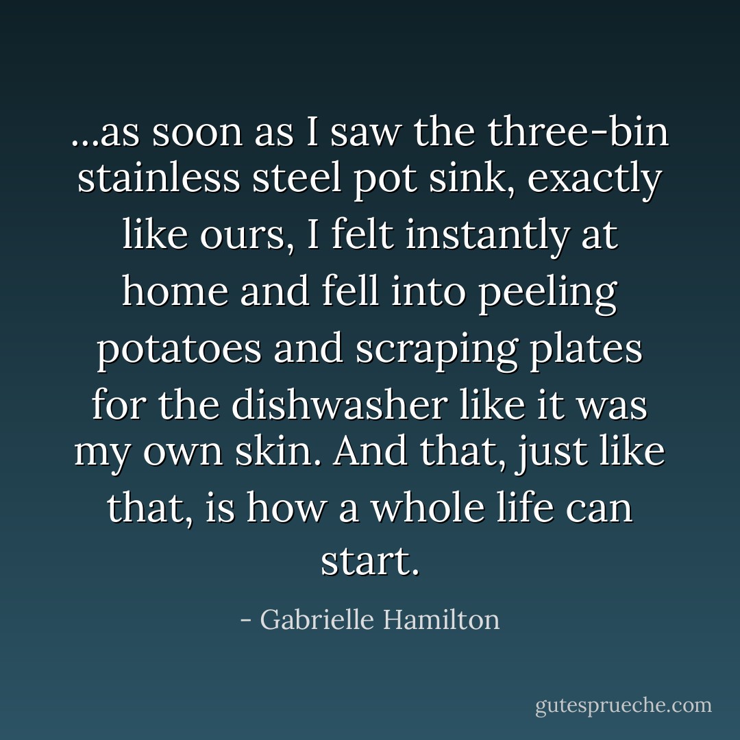 ...as soon as I saw the three-bin stainless steel pot sink, exactly like ours, I felt instantly at home and fell into peeling potatoes and scraping plates for the dishwasher like it was my own skin. And that, just like that, is how a whole life can start. - Gabrielle Hamilton