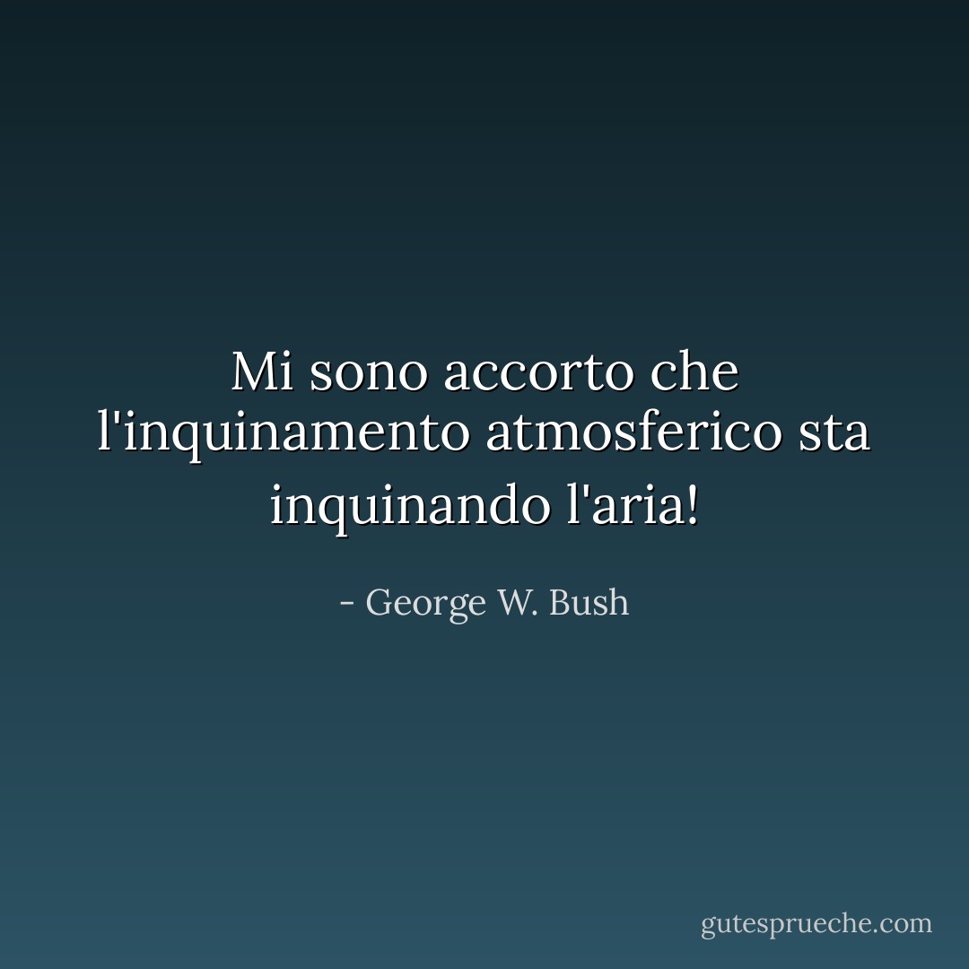 Mi sono accorto che l'inquinamento atmosferico sta inquinando l'aria! - George W. Bush
