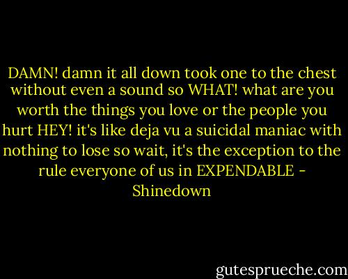 DAMN! damn it all down<br />took one to the chest without even a sound so<br />WHAT! what are you worth<br />the things you love or the people you hurt<br />HEY! it's like deja vu<br />a suicidal maniac with nothing to lose<br />so wait, it's the exception to the rule<br />everyone of us in EXPENDABLE - Shinedown