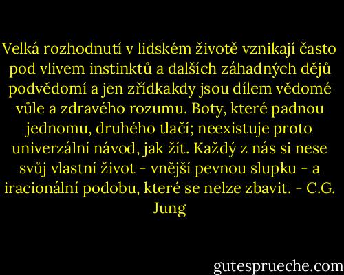 Velká rozhodnutí v lidském životě vznikají často pod vlivem instinktů a dalších záhadných dějů podvědomí a jen zřídkakdy jsou dílem vědomé vůle a zdravého rozumu. Boty, které padnou jednomu, druhého tlačí; neexistuje proto univerzální návod, jak žít. Každý z nás si nese svůj vlastní život - vnější pevnou slupku - a iracionální podobu, které se nelze zbavit. - C.G. Jung