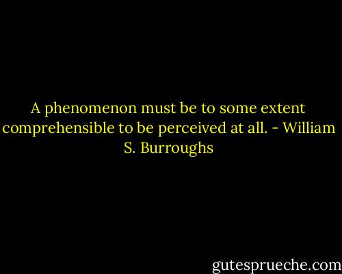 A phenomenon must be to some extent comprehensible to be perceived at all. - William S. Burroughs