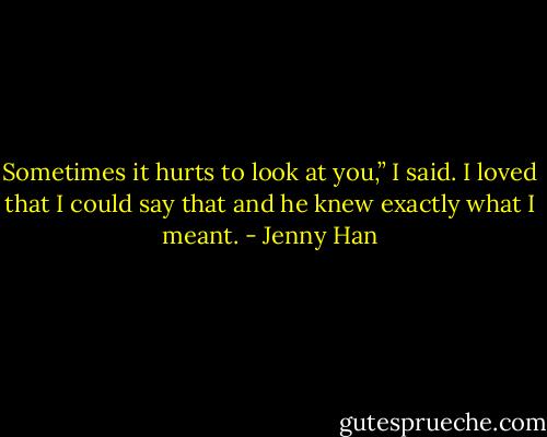 Sometimes it hurts to look at you,” I said. I loved that I could say that and he knew exactly what I meant. - Jenny Han
