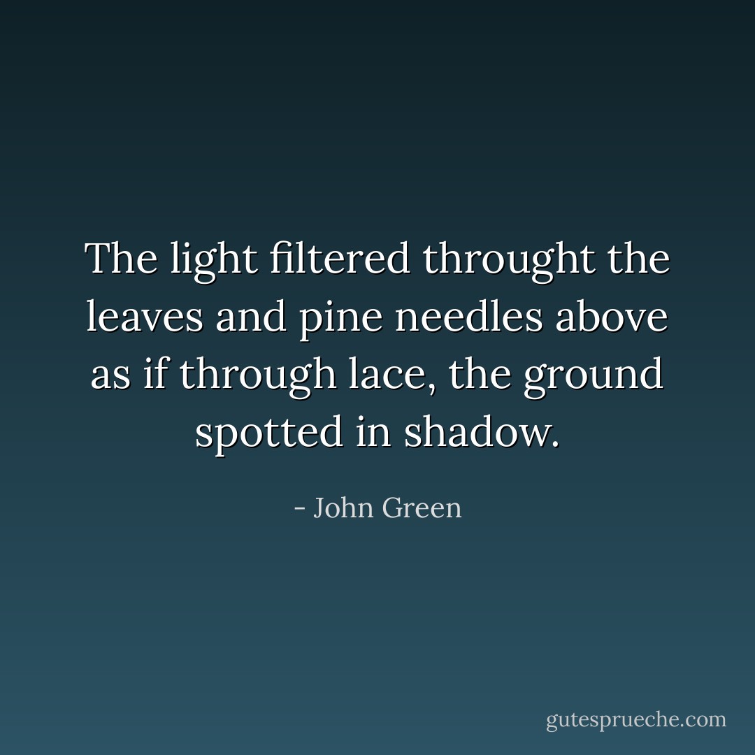 The light filtered throught the leaves and pine needles above as if through lace, the ground spotted in shadow. - John Green
