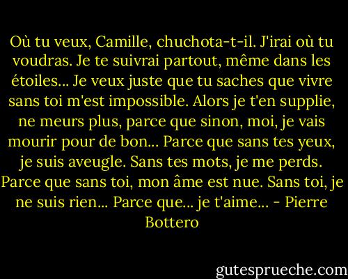Où tu veux, Camille, chuchota-t-il. J'irai où tu voudras. Je te suivrai partout, même dans les étoiles... Je veux juste que tu saches que vivre sans toi m'est impossible. Alors je t'en supplie, ne meurs plus, parce que sinon, moi, je vais mourir pour de bon... Parce que sans tes yeux, je suis aveugle. Sans tes mots, je me perds. Parce que sans toi, mon âme est nue. Sans toi, je ne suis rien... Parce que... je t'aime... - Pierre Bottero