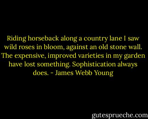 Riding horseback along a country lane I saw wild roses in bloom, against an old stone wall. The expensive, improved varieties in my garden have lost something. Sophistication always does. - James Webb Young