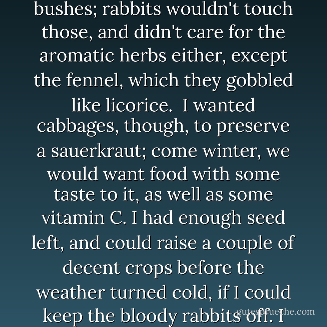 Some enterprising rabbit had dug its way under the stakes of my garden again. One voracious rabbit could eat a cabbage down to the roots, and from the looks of things, he'd brought friends. I sighed and squatted to repair the damage, packing rocks and earth back into the hole. The loss of Ian was a constant ache; at such moments as this, I missed his horrible dog as well.<br /><br />I had brought a large collection of cuttings and seeds from River Run, most of which had survived the journey. It was mid-June, still time--barely--to put in a fresh crop of carrots. The small patch of potato vines was all right, so were the peanut bushes; rabbits wouldn't touch those, and didn't care for the aromatic herbs either, except the fennel, which they gobbled like licorice.<br /><br />I wanted cabbages, though, to preserve a sauerkraut; come winter, we would want food with some taste to it, as well as some vitamin C. I had enough seed left, and could raise a couple of decent crops before the weather turned cold, if I could keep the bloody rabbits off. I drummed my fingers on the handle of my basket, thinking. The Indians scattered clippings of their hair around the edges of the fields, but that was more protection against deer than rabbits.<br /><br />Jamie was the best repellent, I decided. Nayawenne had told me that the scent of carnivore urine would keep rabbits away--and a man who ate meat was nearly as good as a mountain lion, to say nothing of being more biddable. Yes, that would do; he'd shot a deer only two days ago; it was still hanging. I should brew a fresh bucket of spruce beer to go with the roast venison, though . . . (Page 844) - Diana Gabaldon