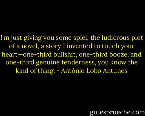 I'm just giving you some spiel, the ludicrous plot of a novel, a story I invented to touch your heart—one-third bullshit, one-third booze, and one-third genuine tenderness, you know the kind of thing. - António Lobo Antunes