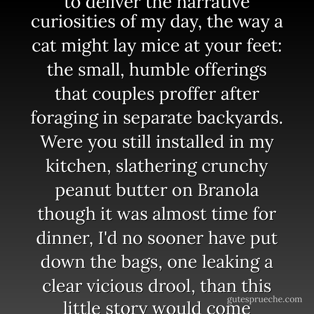 I'm unsure why one trifling incident this afternoon has moved me to write to you. But since we've been separated, I may most miss coming home to deliver the narrative curiosities of my day, the way a cat might lay mice at your feet: the small, humble offerings that couples proffer after foraging in separate backyards. Were you still installed in my kitchen, slathering crunchy peanut butter on Branola though it was almost time for dinner, I'd no sooner have put down the bags, one leaking a clear vicious drool, than this little story would come tumbling out, even before I chided that we're having pasta tonight so would you please not eat that whole sandwich. - Lionel Shriver