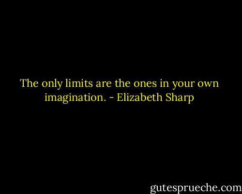 The only limits are the ones in your own imagination. - Elizabeth Sharp