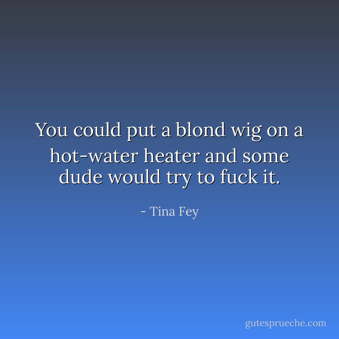 You could put a blond wig on a hot-water heater and some dude would try to fuck it. - Tina Fey