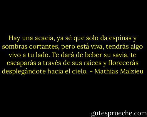 Hay una acacia, ya sé que solo da espinas y sombras cortantes, pero está viva, tendrás algo vivo a tu lado. Te dará de beber su savia, te escaparás a través de sus raíces y florecerás desplegándote hacia el cielo. - Mathias Malzieu