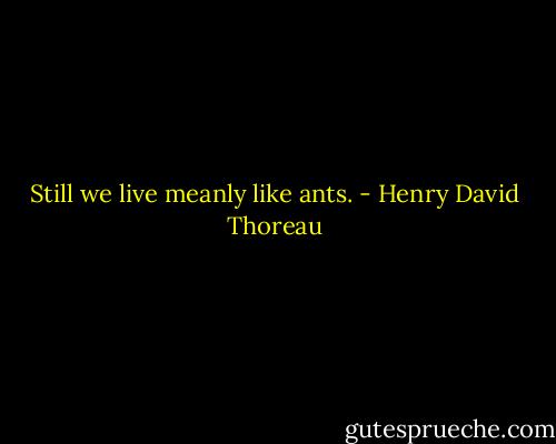 Still we live meanly like ants. - Henry David Thoreau