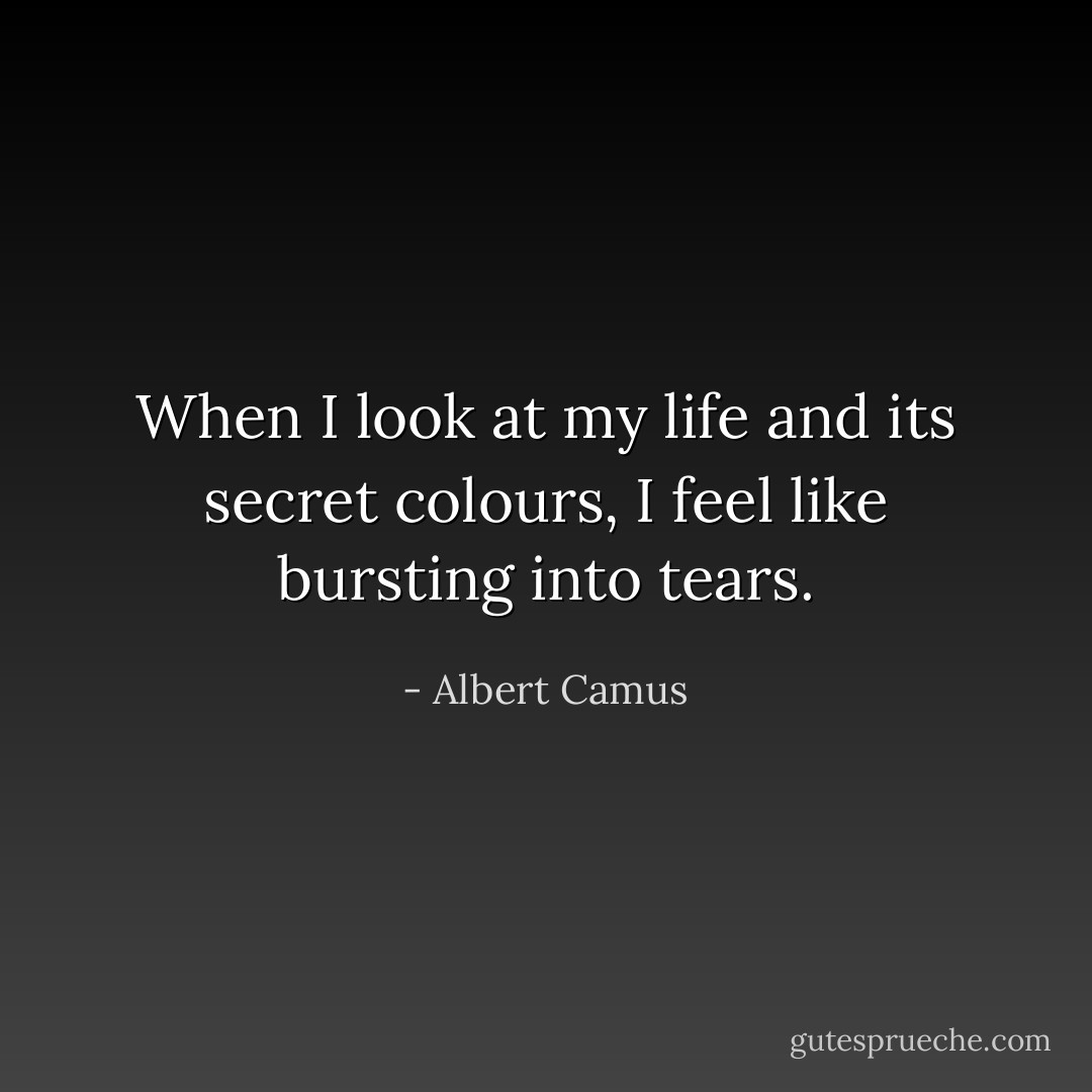 When I look at my life and its secret colours, I feel like bursting into tears. - Albert Camus