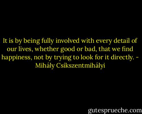 It is by being fully involved with every detail of our lives, whether good or bad, that we find happiness, not by trying to look for it directly. - Mihály Csíkszentmihályi