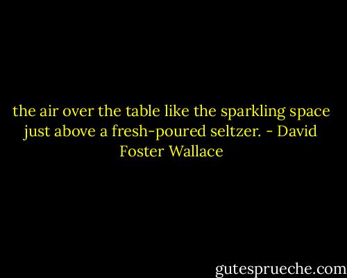 the air over the table like the sparkling space just above a fresh-poured seltzer. - David Foster Wallace
