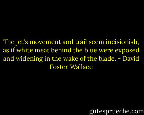 The jet's movement and trail seem incisionish, as if white meat behind the blue were exposed and widening in the wake of the blade. - David Foster Wallace
