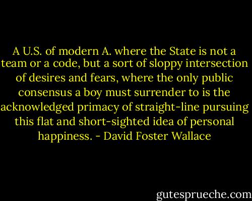A U.S. of modern A. where the State is not a team or a code, but a sort of sloppy intersection of desires and fears, where the only public consensus a boy must surrender to is the acknowledged primacy of straight-line pursuing this flat and short-sighted idea of personal happiness. - David Foster Wallace