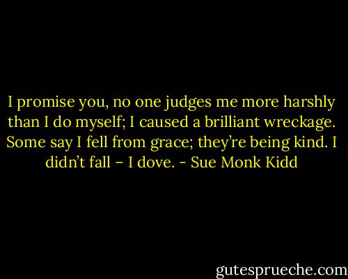 I promise you, no one judges me more harshly than I do myself; I caused a brilliant wreckage. Some say I fell from grace; they’re being kind. I didn’t fall – I dove. - Sue Monk Kidd