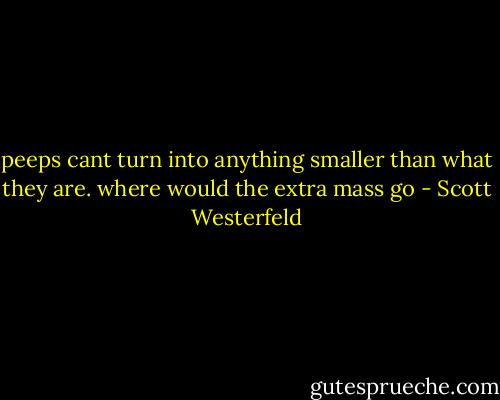 peeps cant turn into anything smaller than what they are. where would the extra mass go - Scott Westerfeld