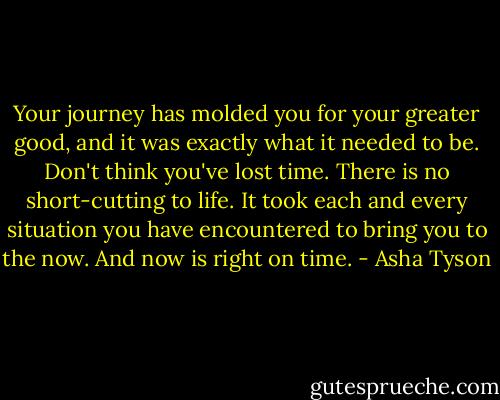 Your journey has molded you for your greater good, and it was exactly what it needed to be. Don't think you've lost time. There is no short-cutting to life. It took each and every situation you have encountered to bring you to the now. And now is right on time. - Asha Tyson