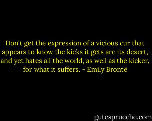 Don't get the expression of a vicious cur that appears to know the kicks it gets are its desert, and yet hates all the world, as well as the kicker, for what it suffers. - Emily Brontë